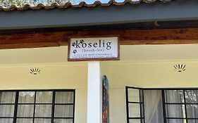 Koselig Homes
